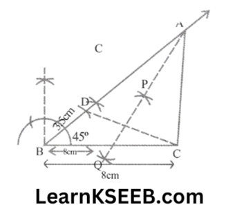 Maths Construction Exercise 11.3.2