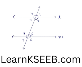 TRANSVERSAL LINE