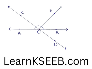 reflex lines