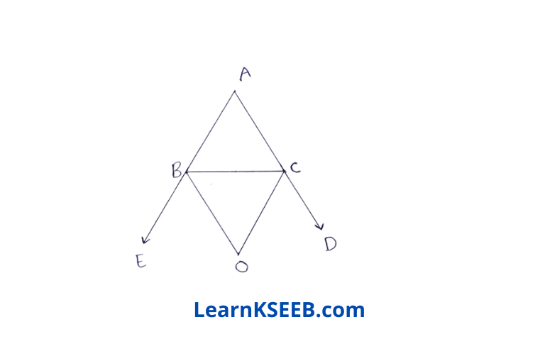 maths triangles fmq2