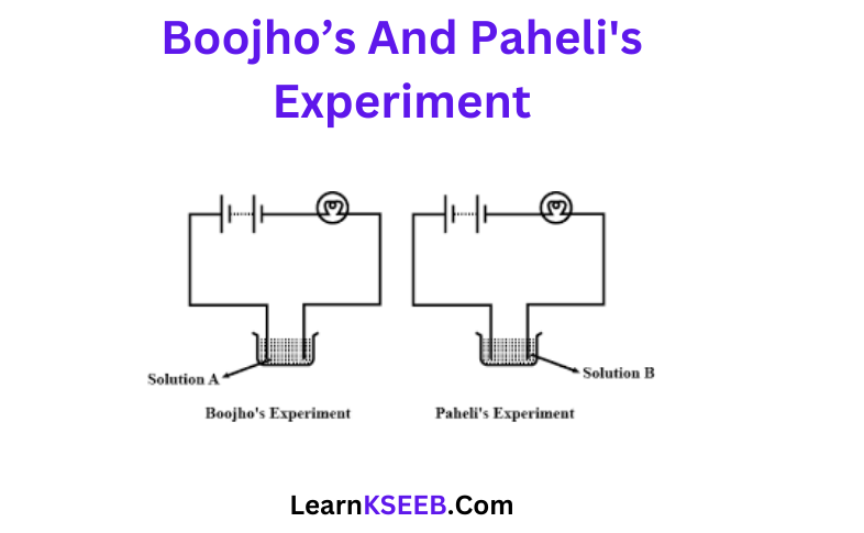 Boojho’s And Paheli's Experiment
