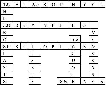 CELL STRUCTURES AND FUNCTIONS PUZZLE