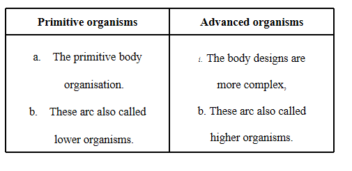 primitive and how are they different from the so-called advance organisms