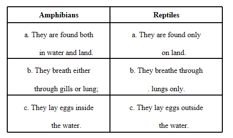 differences between amphibians and reptiles