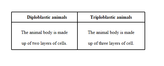Differentiate between Diploblastic and triploblastic