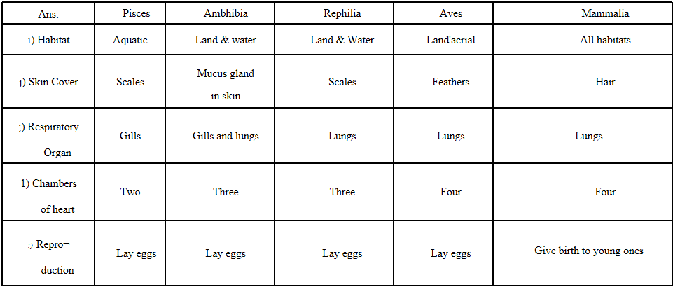five classes of vertebrates