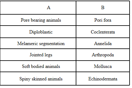 Match the following