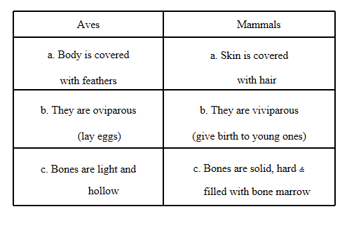 differences between animals belonging to the aves group and those in the mammalian group