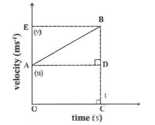 Motion velocity and time graph