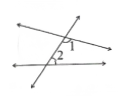 Model Paper