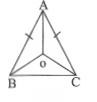 Model Paper