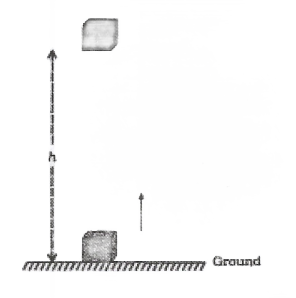 Chapter 11 Gravitational potential energy