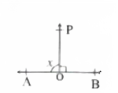 Find the value of x