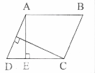 ABCD is a parallelogram, AE⊥DC and CF ⊥ AD