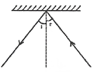 light ray diagram 1