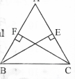 ABC is a triangle in which altitudes BE and CF to sides AC and AB are equal  S.T