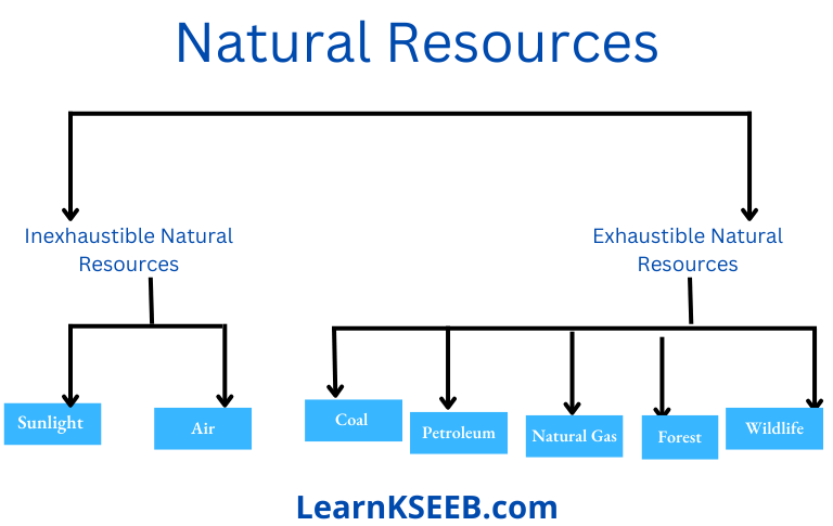 chapter 5 Natural resources