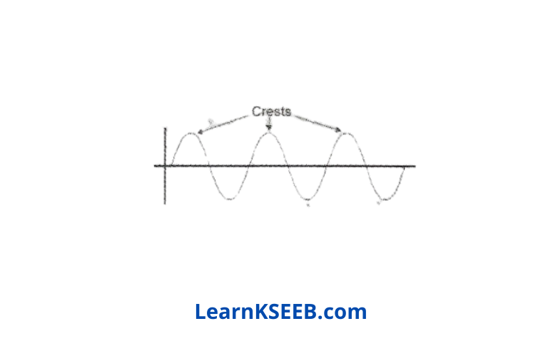 crest and trough