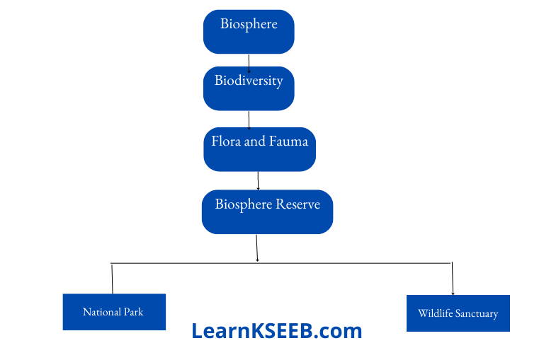 chapter 6 flow chart biosphere