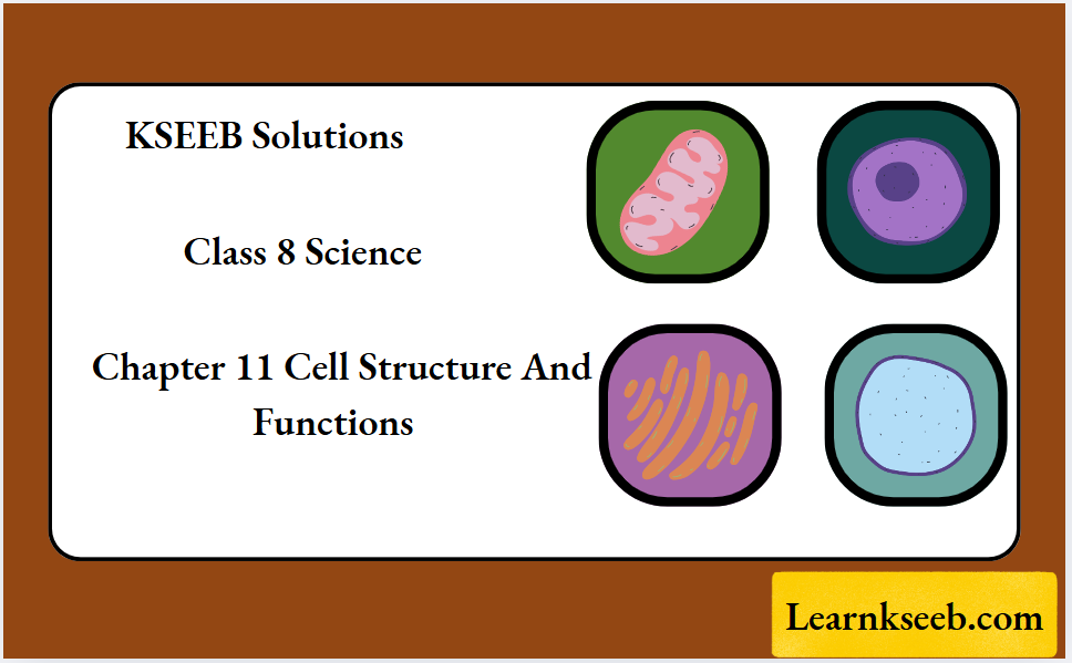 KSEEB Solutions For Class 8 Science Chapter 11 Cell Structure And Functions