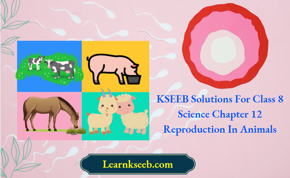 KSEEB Solutions For Class 8 Science Chapter 12 Reproduction In Animals