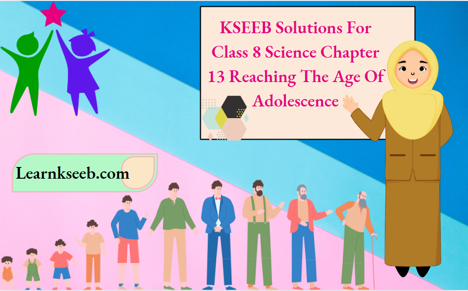 KSEEB Solutions For Class 8 Science Chapter 13 Reaching The Age Of Adolescence
