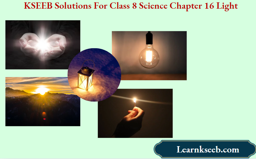 KSEEB Solutions For Class 8 Science Chapter 16 Light