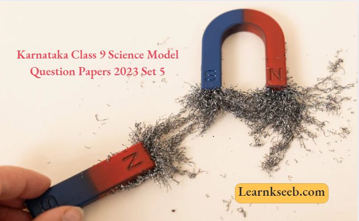 Karnataka Class 9 Science Model Question Papers 2023 Set 5