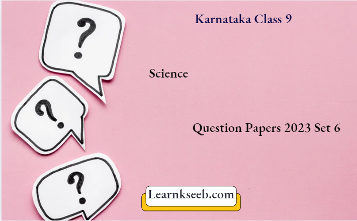 Karnataka Class 9 Science Model Question Papers 2023 Set 6