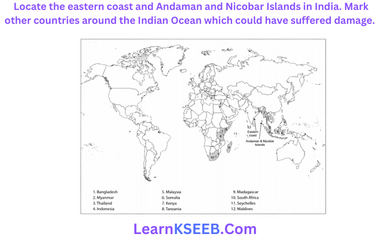 Locate the eastern coast and Andaman and Nicobar Islands in India. Mark other countries around the Indian Ocean which could have suffered damage.