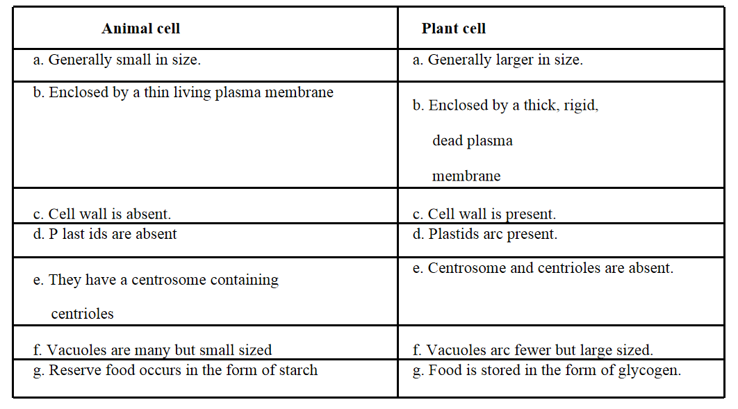 Make a comparison and write down ways in which plant cells are different from animal cells 