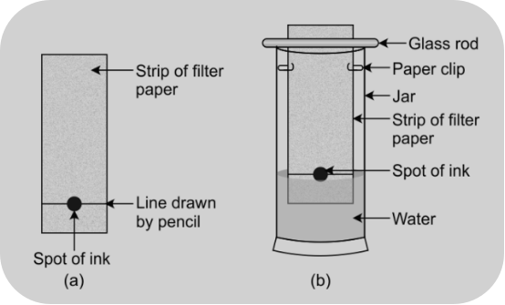 Method of separation of dyes in black ink using chromatography.