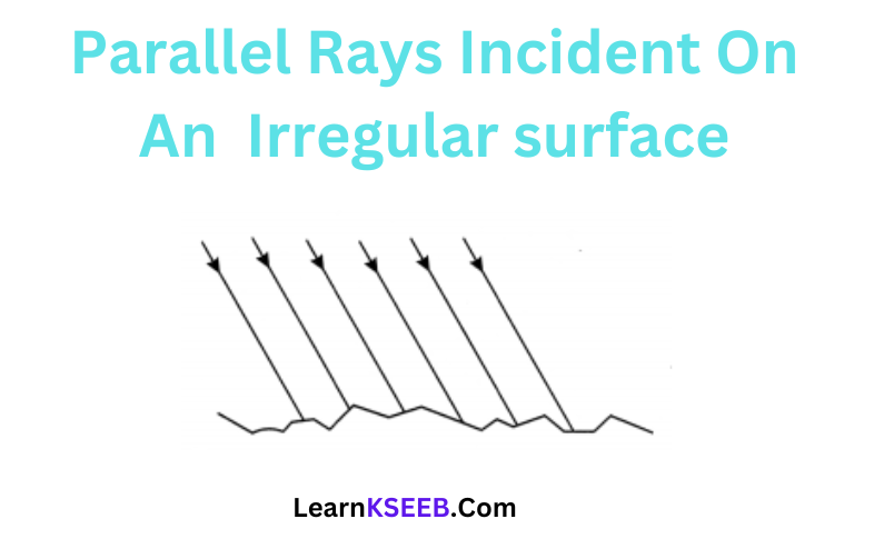 Parallel Rays Incident On An Irregular surface