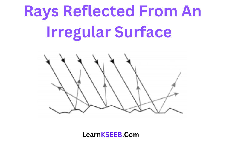 Rays Reflected From An Irregular Surface