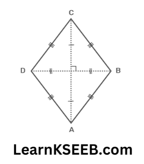 Rhombus