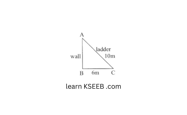 KSEEB Solutions For Class 8 Chapter 5 Square And Square Roots Additional Problems Question 17
