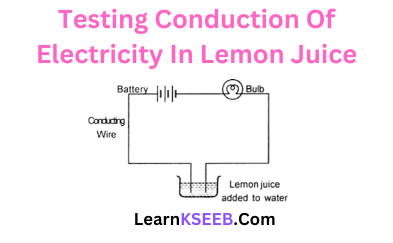 Testing Conduction Of Electricity In Lemon Juice