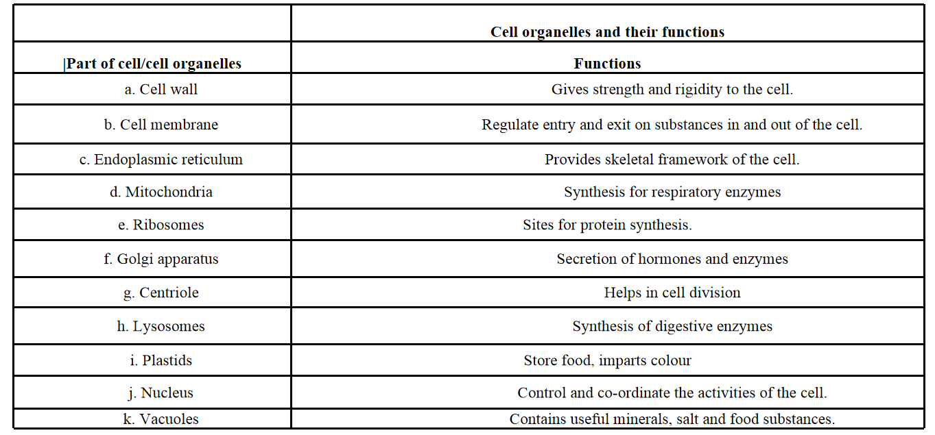The Fundamental unit of concepts functions