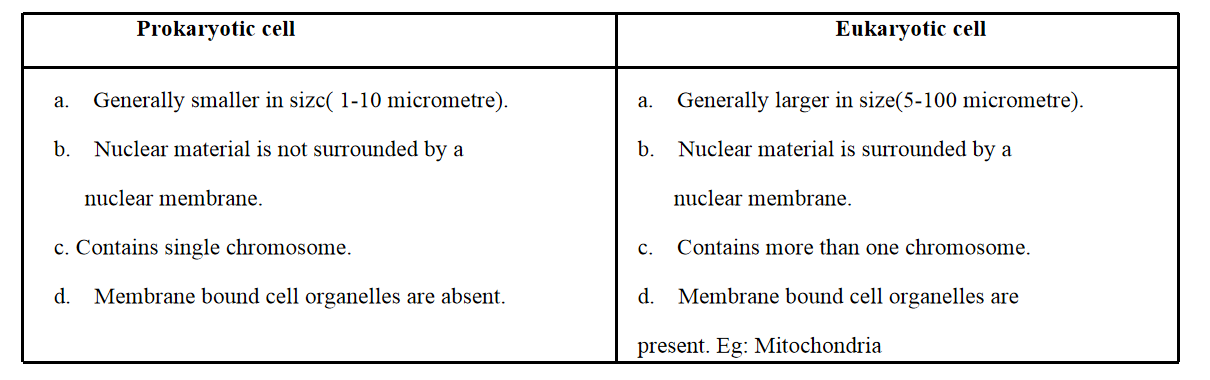 eukaryotic cell