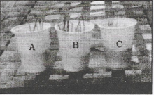 8th class science ch 1 fig 2