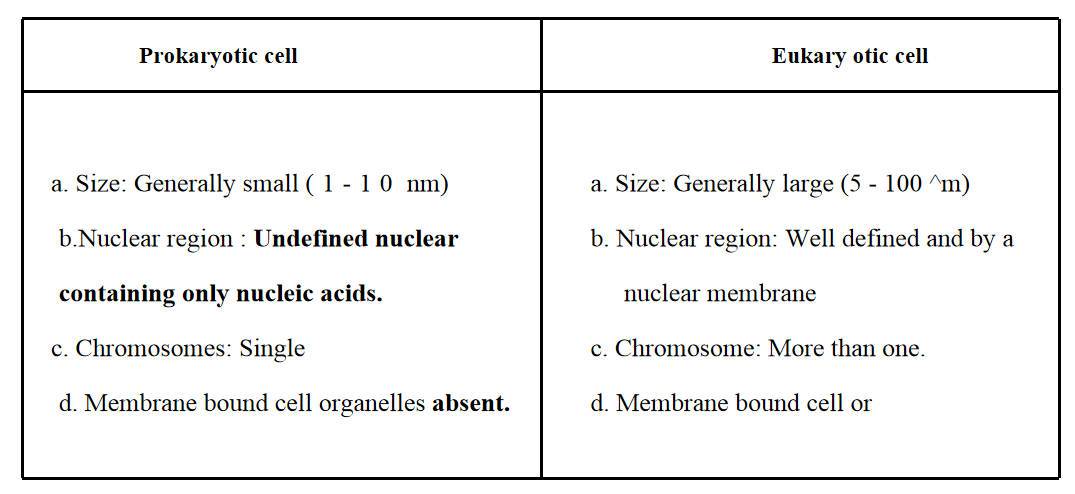 illustrating differences between prokaryotic and eukaryotic cells.