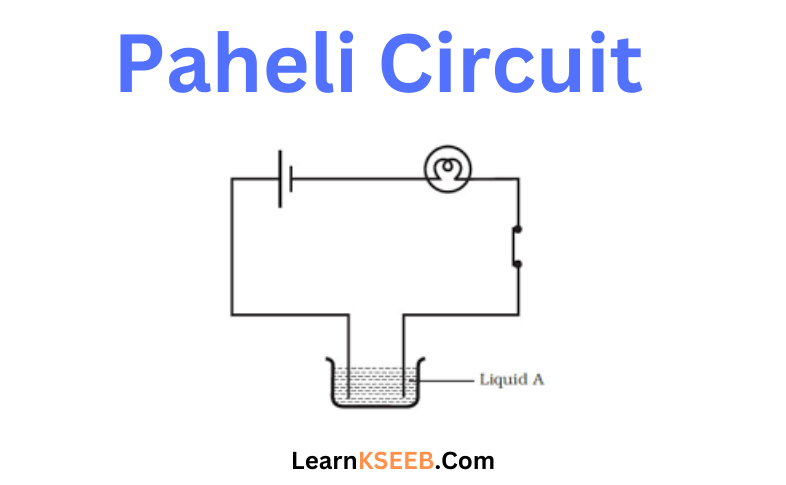 Paheli Circuit
