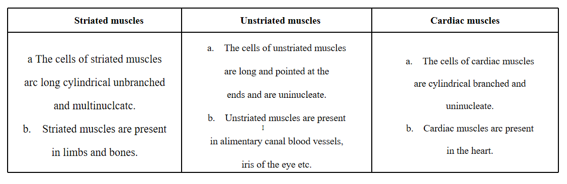 Tissues parenchyma, collenchyma, and sclerenchyma.