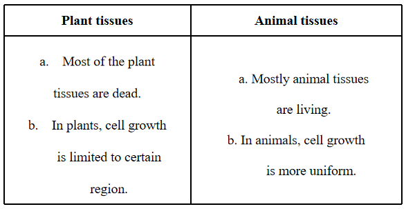 Tissues plant and animal tissue.