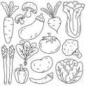 reaching the age of adolesense nutritious of food vegetables