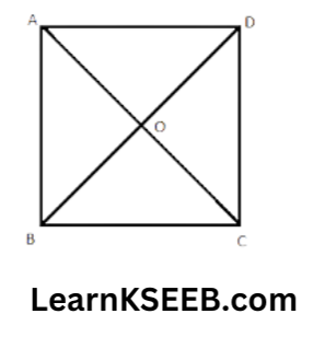 square1