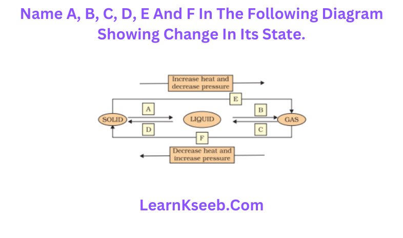 states of matter 