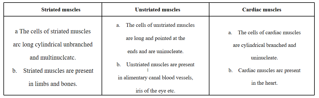 Tissues striated, un striated, and cardiac muscles
