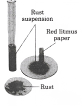 testing the nature of rust