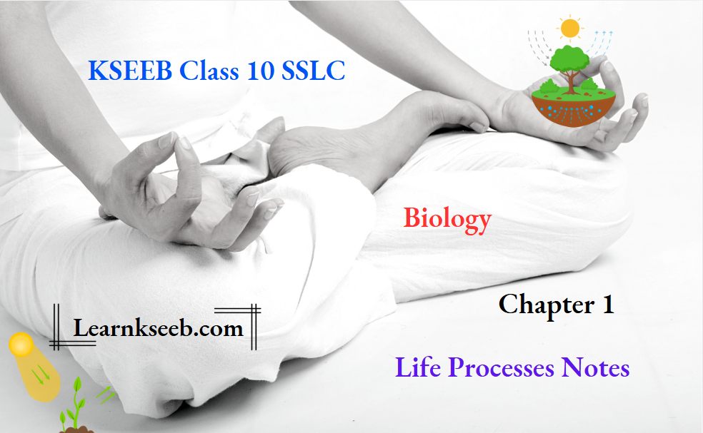 KSEEB Class 10 SSLC Biology Chapter 1 Life Processes Notes